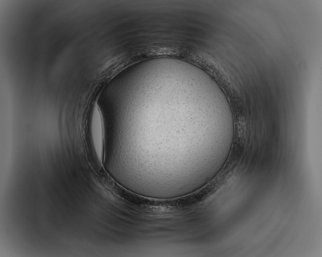 X0000087310741200705112116