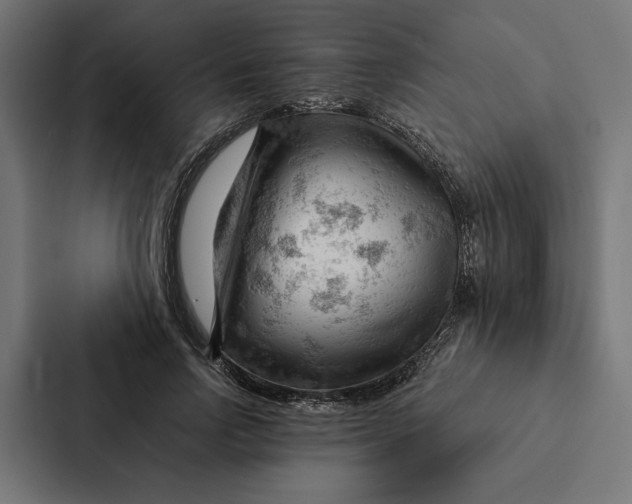 X0000087310742200705112116