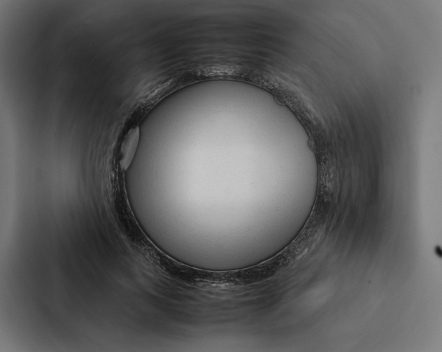 X0000087310743200705112116