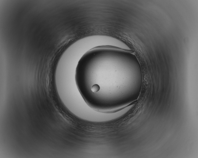 X0000087310744200705112116