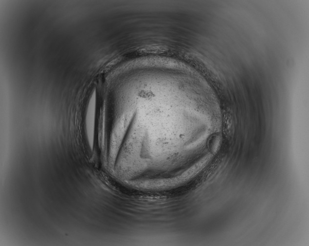 X0000087310745200705112116