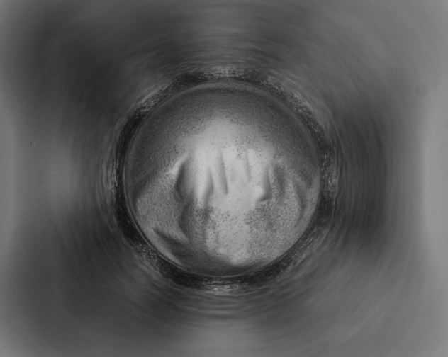 X0000087310746200705112116