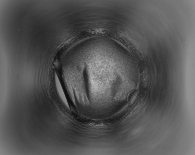 X0000087310747200705112116