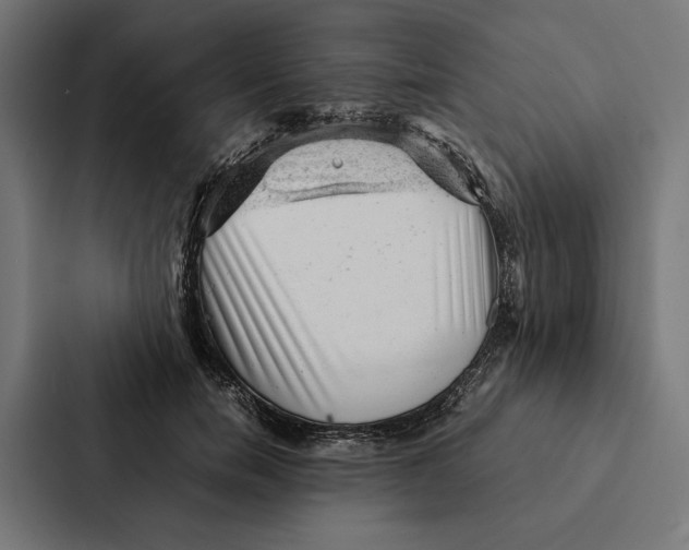 X0000087310750200705112116