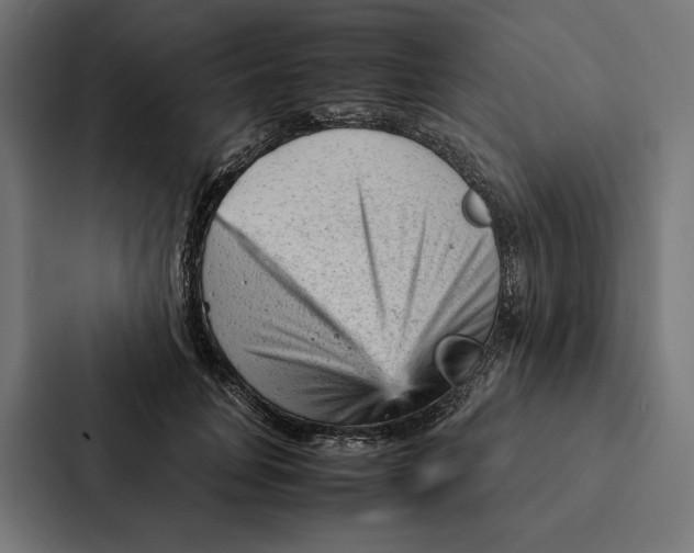 X0000087310751200705112116