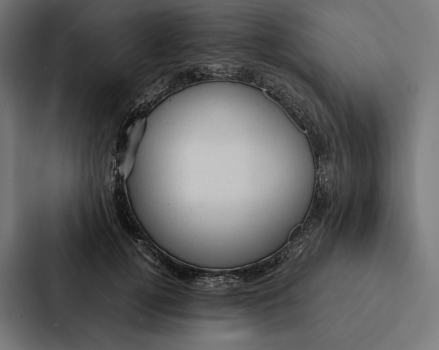 X0000087310752200705112116