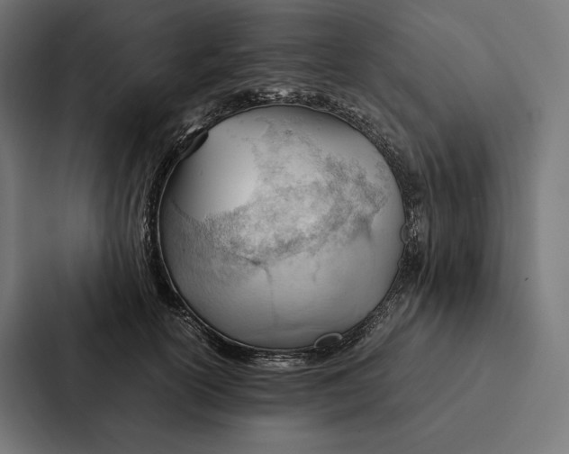 X0000087310754200705112116