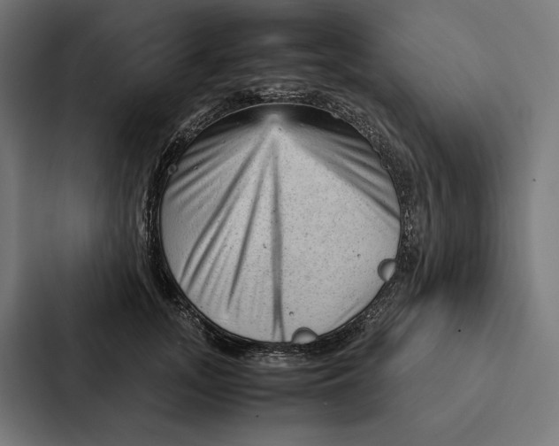 X0000087310755200705112116