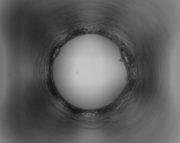 X0000087310756200705112116