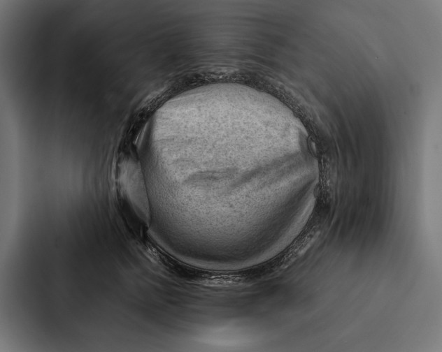 X0000087310758200705112117