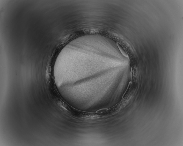 X0000087310760200705112117