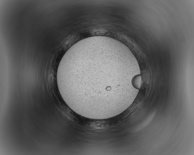 X0000087310761200705112117