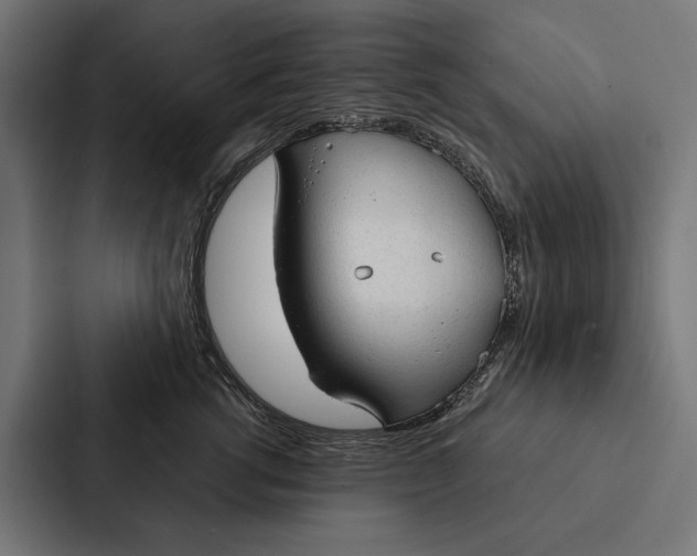 X0000087310762200705112117