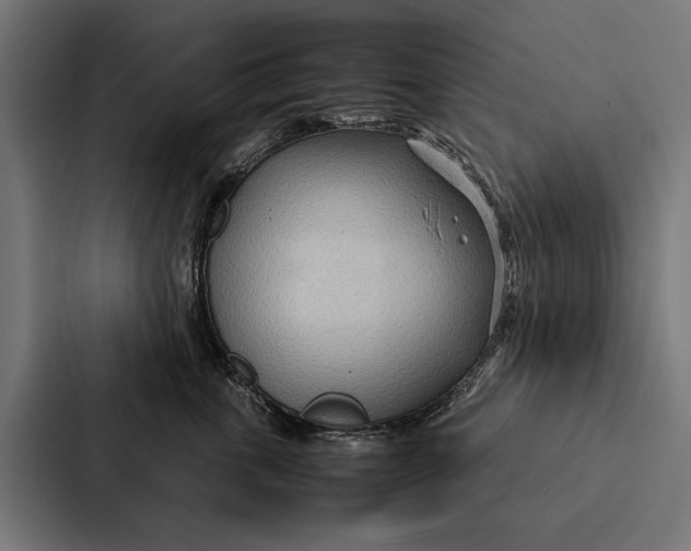 X0000087310763200705112117