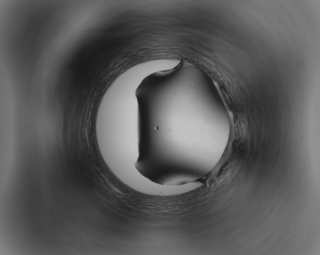 X0000087310764200705112117