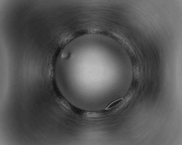 X0000087310766200705112117