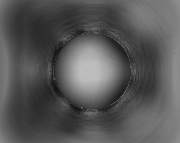 X0000087310767200705112117