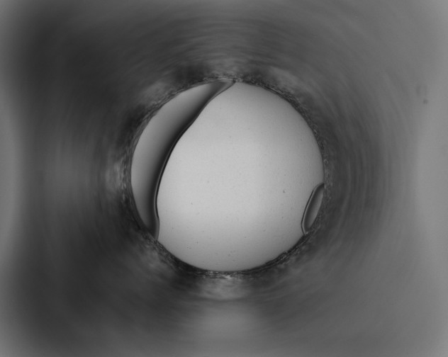 X0000087310768200705112117