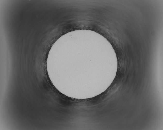 X0000087310769200705112116