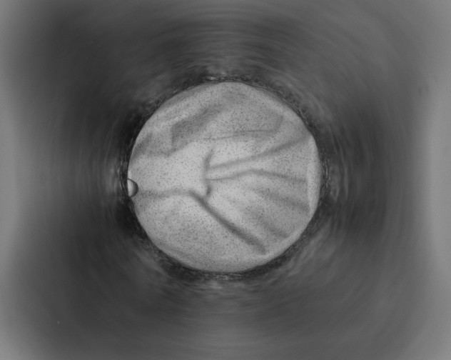 X0000087310770200705112116