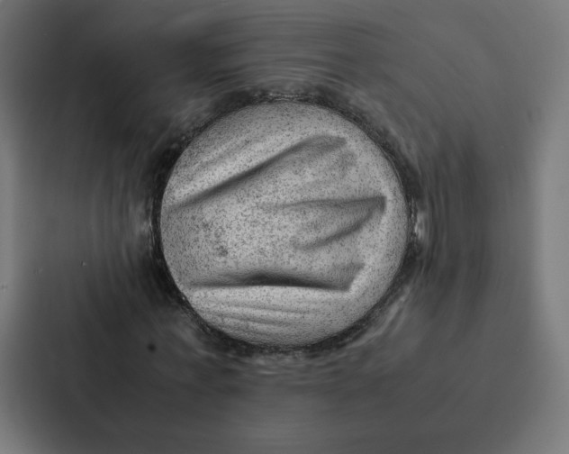 X0000087310771200705112116