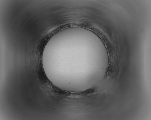 X0000087310773200705112116