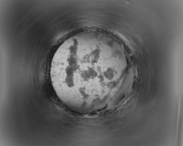 X0000087310775200705112116