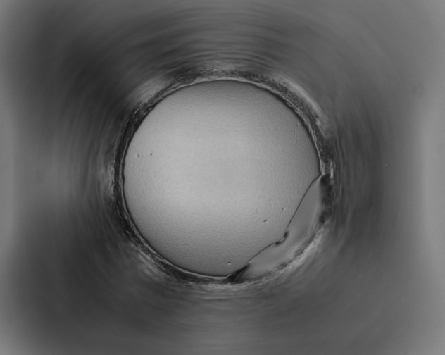 X0000087310777200705112116