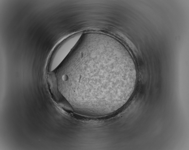 X0000087310779200705112116