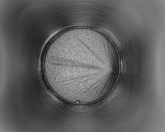 X0000087310780200705112116