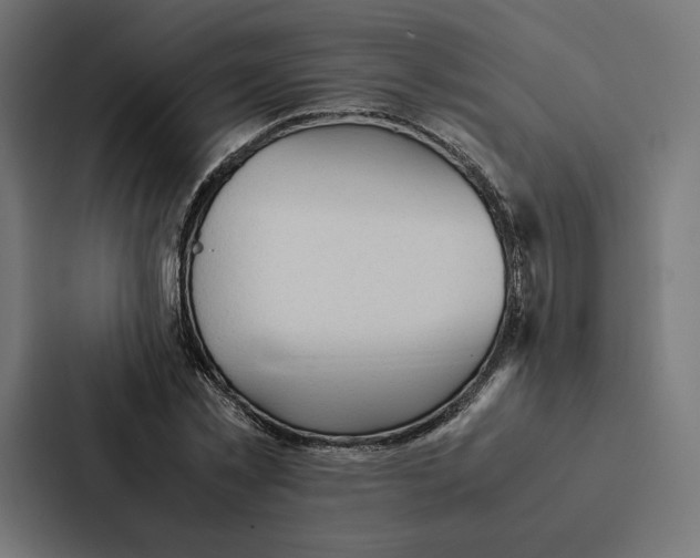 X0000087310781200705112116