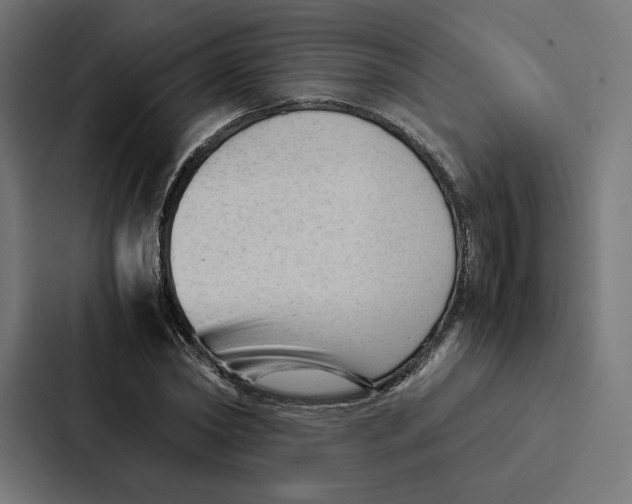 X0000087310782200705112116