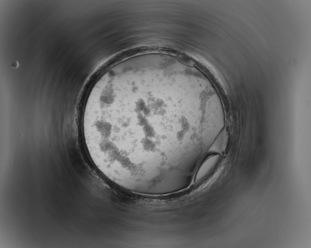 X0000087310783200705112116