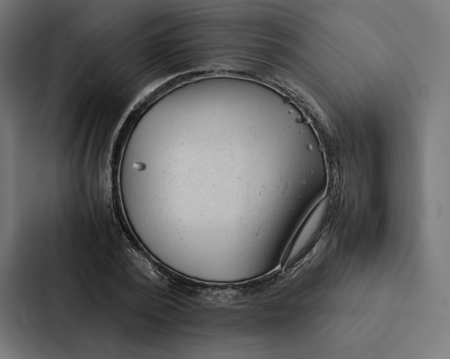 X0000087310784200705112116