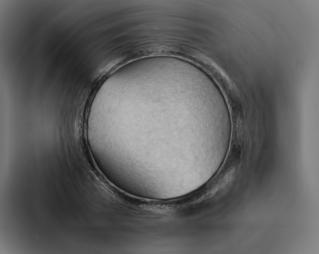 X0000087310785200705112116