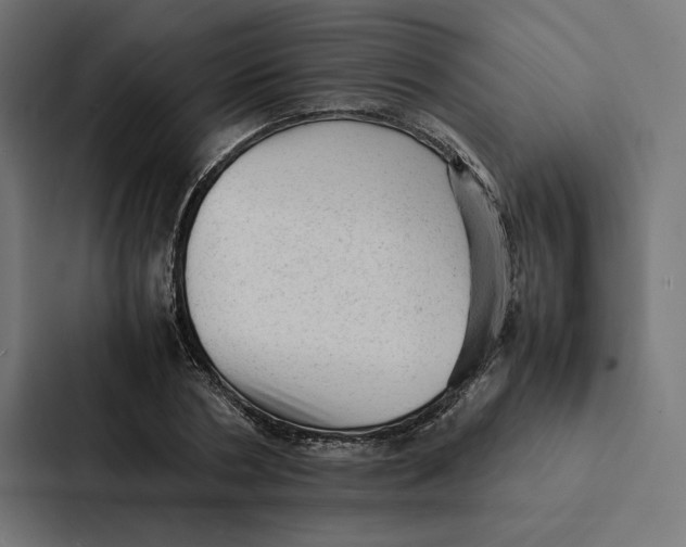 X0000087310786200705112116