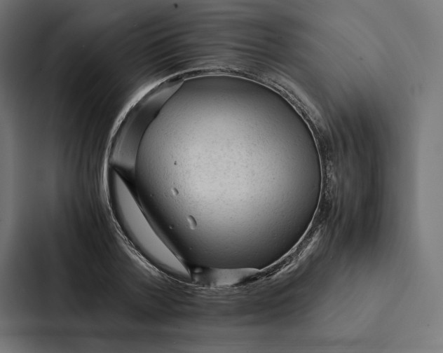 X0000087310788200705112116