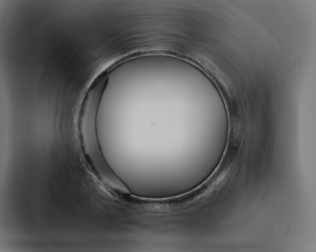 X0000087310789200705112116