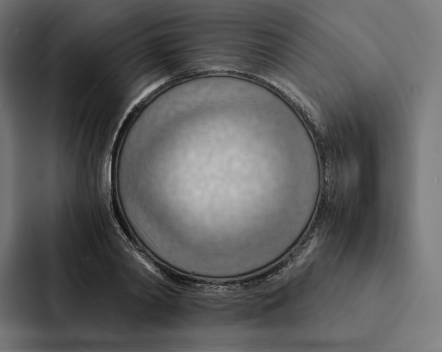 X0000087310790200705112116