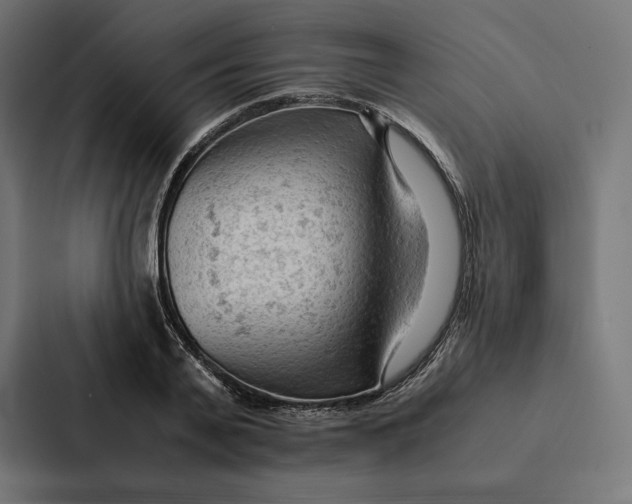 X0000087310791200705112116