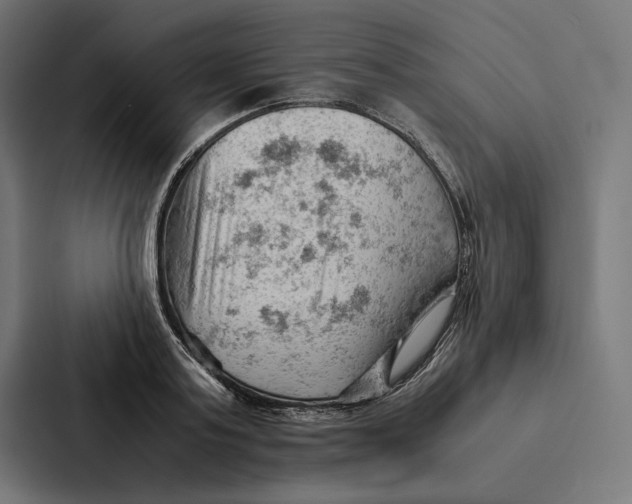 X0000087310795200705112116