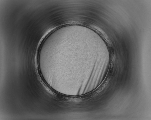 X0000087310796200705112116