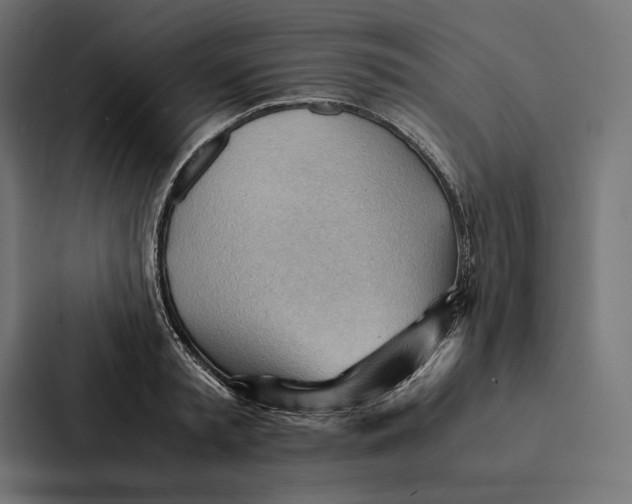 X0000087310797200705112116