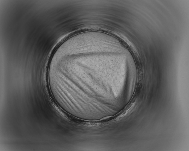 X0000087310799200705112116