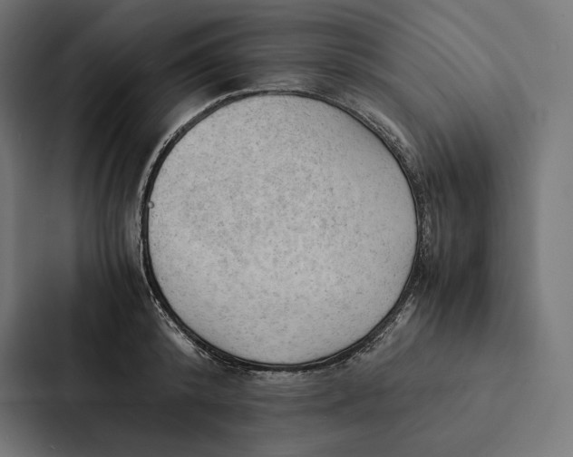 X0000087310800200705112116