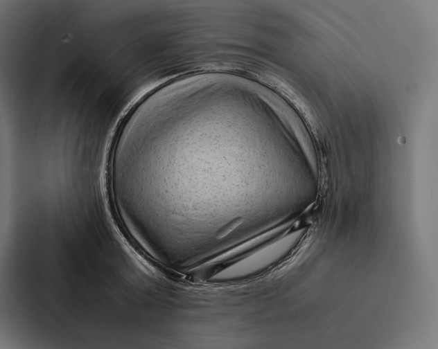 X0000087310803200705112116