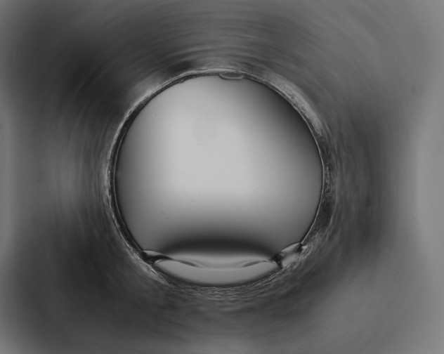 X0000087310805200705112116