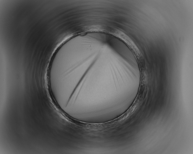 X0000087310806200705112116