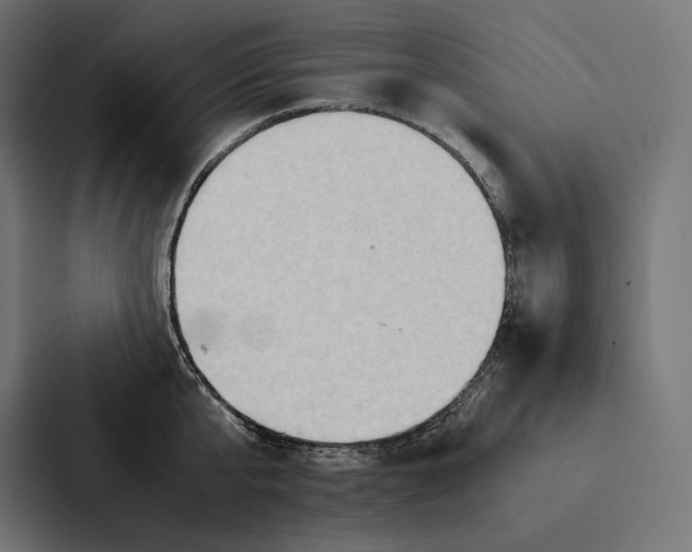 X0000087310807200705112116