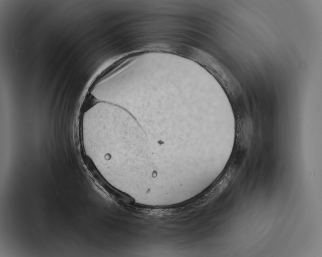 X0000087310808200705112116